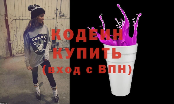 СК Инта