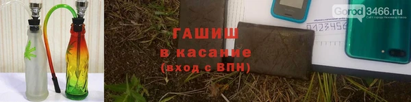 СК Инта