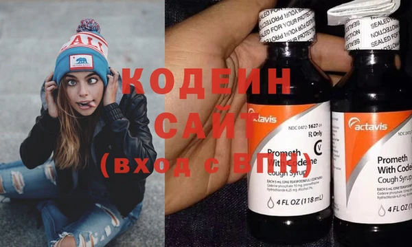 СК Инта