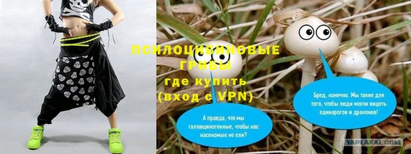 меф Инсар