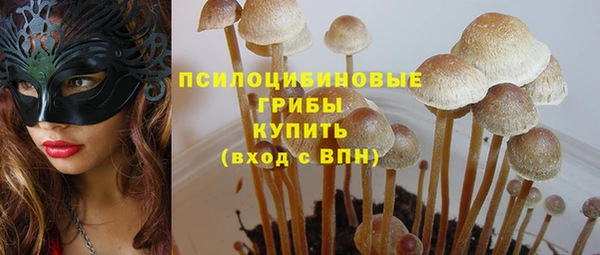 меф Инсар