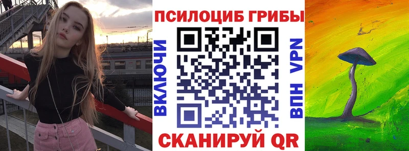 Псилоцибиновые грибы Cubensis Кондрово