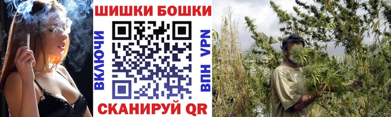 Купить где  Кондрово  Бошки Шишки THC 21% 